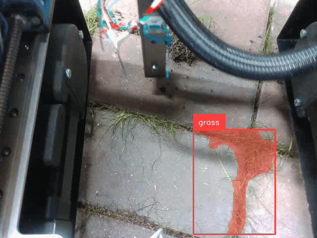 Weed Detection