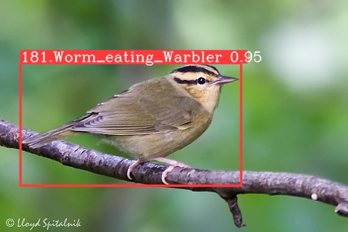 Computer Vision